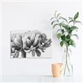 Picture of Flower isolated _GroupedProduct_Rectangle_Landscape_Photography _GroupedProduct_Rectangle_Landscape_Unframed_Print_Only_