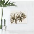 Picture of Flower isolated _GroupedProduct_Rectangle_Landscape_Photography _GroupedProduct_Rectangle_Landscape_Unframed_Print_Only_