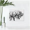 Picture of Flower isolated _GroupedProduct_Rectangle_Landscape_Photography _GroupedProduct_Rectangle_Landscape_Unframed_Print_Only_