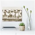 Picture of White Horses _GroupedProduct_Rectangle_Landscape_Photography _GroupedProduct_Rectangle_Landscape_Unframed_Print_Only_