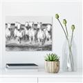 Picture of White Horses _GroupedProduct_Rectangle_Landscape_Photography _GroupedProduct_Rectangle_Landscape_Unframed_Print_Only_