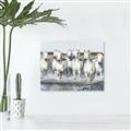 Picture of White Horses _GroupedProduct_Rectangle_Landscape_Photography _GroupedProduct_Rectangle_Landscape_Unframed_Print_Only_