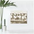 Picture of White Horses _GroupedProduct_Rectangle_Landscape_Photography _GroupedProduct_Rectangle_Landscape_Unframed_Print_Only_