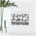 Picture of White Horses _GroupedProduct_Rectangle_Landscape_Photography _GroupedProduct_Rectangle_Landscape_Unframed_Print_Only_