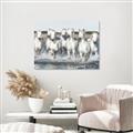 Picture of White Horses _GroupedProduct_Rectangle_Landscape_Photography _GroupedProduct_Rectangle_Landscape_Unframed_Print_Only_