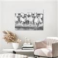 Picture of White Horses _GroupedProduct_Rectangle_Landscape_Photography _GroupedProduct_Rectangle_Landscape_Unframed_Print_Only_