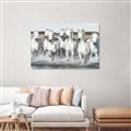 Picture of White Horses _GroupedProduct_Rectangle_Landscape_Photography _GroupedProduct_Rectangle_Landscape_Unframed_Print_Only_