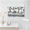 Picture of White Horses _GroupedProduct_Rectangle_Landscape_Photography _GroupedProduct_Rectangle_Landscape_Unframed_Print_Only_