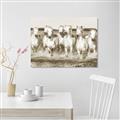 Picture of White Horses _GroupedProduct_Rectangle_Landscape_Photography _GroupedProduct_Rectangle_Landscape_Unframed_Print_Only_