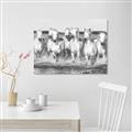 Picture of White Horses _GroupedProduct_Rectangle_Landscape_Photography _GroupedProduct_Rectangle_Landscape_Unframed_Print_Only_