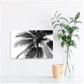 Picture of Black Palm  _GroupedProduct_Rectangle_Landscape_Photography _GroupedProduct_Rectangle_Landscape_Unframed_Print_Only_