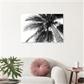 Picture of Black Palm  _GroupedProduct_Rectangle_Landscape_Photography _GroupedProduct_Rectangle_Landscape_Unframed_Print_Only_