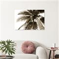 Picture of Black Palm  _GroupedProduct_Rectangle_Landscape_Photography _GroupedProduct_Rectangle_Landscape_Unframed_Print_Only_