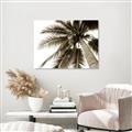 Picture of Black Palm  _GroupedProduct_Rectangle_Landscape_Photography _GroupedProduct_Rectangle_Landscape_Unframed_Print_Only_