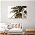 Picture of Black Palm  _GroupedProduct_Rectangle_Landscape_Photography _GroupedProduct_Rectangle_Landscape_Unframed_Print_Only_