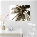Picture of Black Palm  _GroupedProduct_Rectangle_Landscape_Photography _GroupedProduct_Rectangle_Landscape_Unframed_Print_Only_