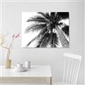 Picture of Black Palm  _GroupedProduct_Rectangle_Landscape_Photography _GroupedProduct_Rectangle_Landscape_Unframed_Print_Only_