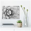 Picture of Landscaped flower Bed _GroupedProduct_Rectangle_Landscape_Photography _GroupedProduct_Rectangle_Landscape_Unframed_Print_Only_