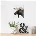 Picture of Moose _GroupedProduct_Rectangle_Portrait_Photography _GroupedProduct_Rectangle_Portrait_Unframed_Print_Only_