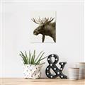 Picture of Moose _GroupedProduct_Rectangle_Portrait_Photography _GroupedProduct_Rectangle_Portrait_Unframed_Print_Only_