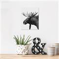 Picture of Moose _GroupedProduct_Rectangle_Portrait_Photography _GroupedProduct_Rectangle_Portrait_Unframed_Print_Only_