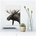 Picture of Moose _GroupedProduct_Rectangle_Portrait_Photography _GroupedProduct_Rectangle_Portrait_Unframed_Print_Only_