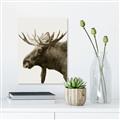 Picture of Moose _GroupedProduct_Rectangle_Portrait_Photography _GroupedProduct_Rectangle_Portrait_Unframed_Print_Only_