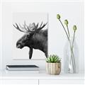 Picture of Moose _GroupedProduct_Rectangle_Portrait_Photography _GroupedProduct_Rectangle_Portrait_Unframed_Print_Only_