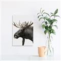 Picture of Moose _GroupedProduct_Rectangle_Portrait_Photography _GroupedProduct_Rectangle_Portrait_Unframed_Print_Only_