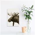 Picture of Moose _GroupedProduct_Rectangle_Portrait_Photography _GroupedProduct_Rectangle_Portrait_Unframed_Print_Only_