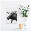 Picture of Moose _GroupedProduct_Rectangle_Portrait_Photography _GroupedProduct_Rectangle_Portrait_Unframed_Print_Only_