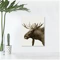 Picture of Moose _GroupedProduct_Rectangle_Portrait_Photography _GroupedProduct_Rectangle_Portrait_Unframed_Print_Only_