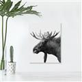 Picture of Moose _GroupedProduct_Rectangle_Portrait_Photography _GroupedProduct_Rectangle_Portrait_Unframed_Print_Only_