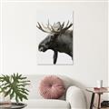 Picture of Moose _GroupedProduct_Rectangle_Portrait_Photography _GroupedProduct_Rectangle_Portrait_Unframed_Print_Only_