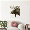 Picture of Moose _GroupedProduct_Rectangle_Portrait_Photography _GroupedProduct_Rectangle_Portrait_Unframed_Print_Only_