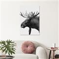 Picture of Moose _GroupedProduct_Rectangle_Portrait_Photography _GroupedProduct_Rectangle_Portrait_Unframed_Print_Only_