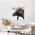 Picture of Moose _GroupedProduct_Rectangle_Portrait_Photography _GroupedProduct_Rectangle_Portrait_Unframed_Print_Only_