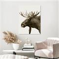 Picture of Moose _GroupedProduct_Rectangle_Portrait_Photography _GroupedProduct_Rectangle_Portrait_Unframed_Print_Only_