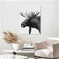 Picture of Moose _GroupedProduct_Rectangle_Portrait_Photography _GroupedProduct_Rectangle_Portrait_Unframed_Print_Only_