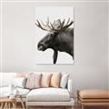 Picture of Moose _GroupedProduct_Rectangle_Portrait_Photography _GroupedProduct_Rectangle_Portrait_Unframed_Print_Only_