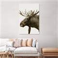 Picture of Moose _GroupedProduct_Rectangle_Portrait_Photography _GroupedProduct_Rectangle_Portrait_Unframed_Print_Only_