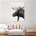 Picture of Moose _GroupedProduct_Rectangle_Portrait_Photography _GroupedProduct_Rectangle_Portrait_Unframed_Print_Only_