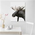 Picture of Moose _GroupedProduct_Rectangle_Portrait_Photography _GroupedProduct_Rectangle_Portrait_Unframed_Print_Only_