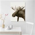 Picture of Moose _GroupedProduct_Rectangle_Portrait_Photography _GroupedProduct_Rectangle_Portrait_Unframed_Print_Only_