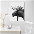 Picture of Moose _GroupedProduct_Rectangle_Portrait_Photography _GroupedProduct_Rectangle_Portrait_Unframed_Print_Only_