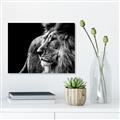Picture of The Big Cat _GroupedProduct_Rectangle_Landscape_Photography _GroupedProduct_Rectangle_Landscape_Unframed_Print_Only_