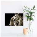 Picture of The Big Cat _GroupedProduct_Rectangle_Landscape_Photography _GroupedProduct_Rectangle_Landscape_Unframed_Print_Only_