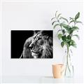 Picture of The Big Cat _GroupedProduct_Rectangle_Landscape_Photography _GroupedProduct_Rectangle_Landscape_Unframed_Print_Only_