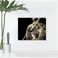 Picture of The Big Cat _GroupedProduct_Rectangle_Landscape_Photography _GroupedProduct_Rectangle_Landscape_Unframed_Print_Only_