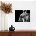Picture of The Big Cat _GroupedProduct_Rectangle_Landscape_Photography _GroupedProduct_Rectangle_Landscape_Unframed_Print_Only_